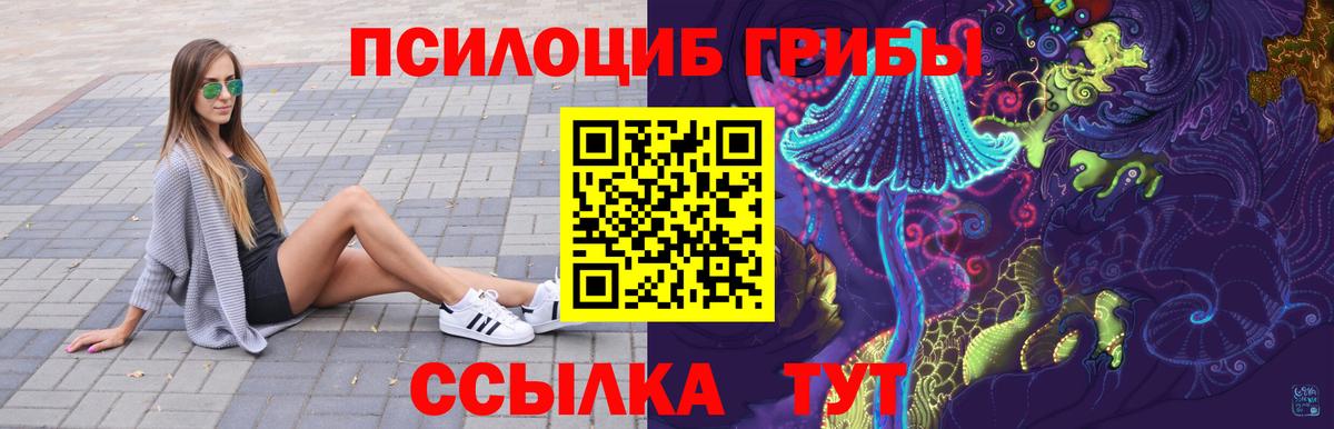 Псилоцибиновые грибы Psilocybe  Псилоцибиновые грибы мицелий  Вход с VPN  Златоуст 