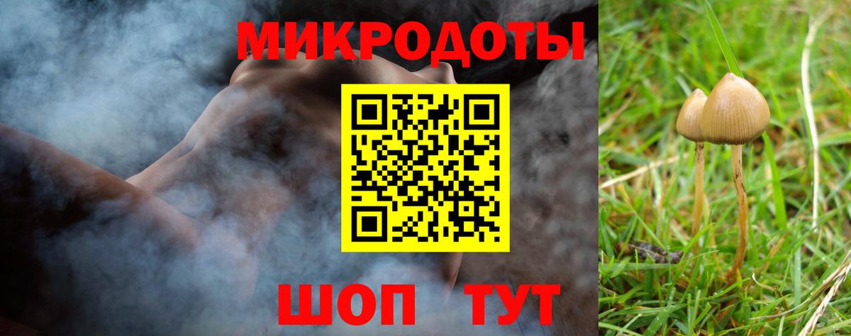 Галлюциногенные грибы MAGIC MUSHROOMS Златоуст